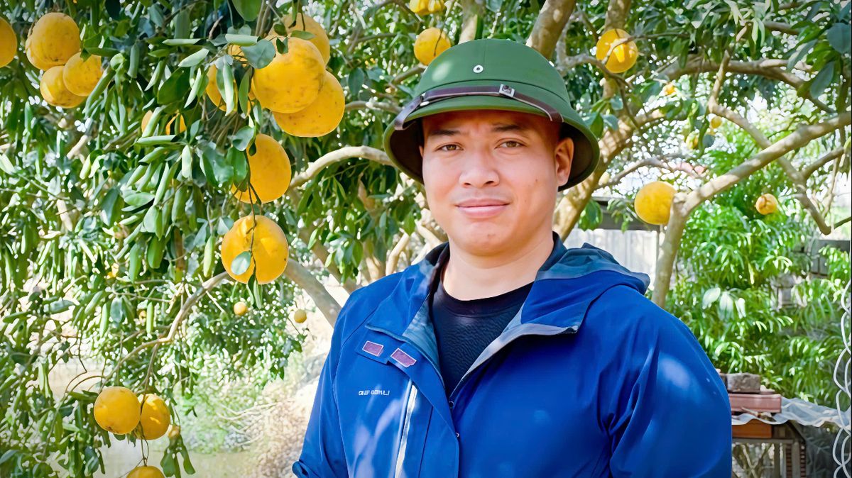 Dương Thành Trung