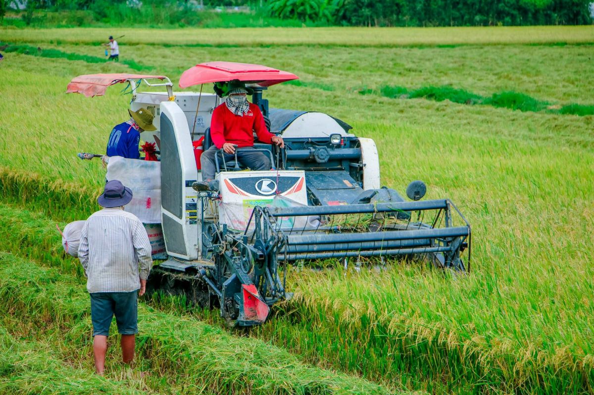 Triển khai Nghị quyết của Quốc hội về các cơ chế đặc thù thực hiện các chương trình mục tiêu quốc gia