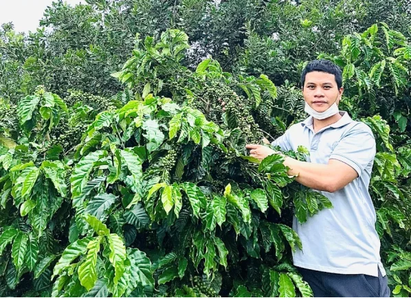 Asanzo Coffee – Tinh hoa cà phê hảo hạng dành cho người Việt