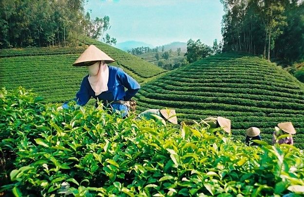 Mộc Châu: Dần hiện thực hóa mục tiêu lên thị xã vào năm 2025