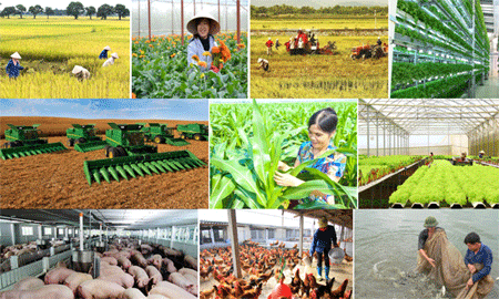 Nỗ lực vượt qua nghịch cảnh