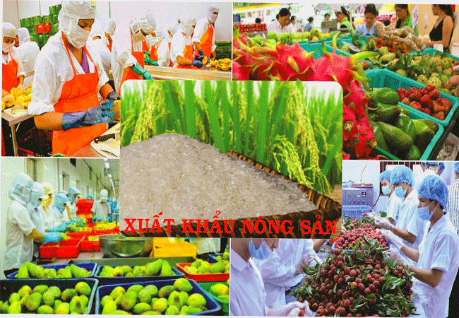 Chiến tranh thương mại Mỹ - Trung: Hàng Việt sang Trung Quốc giảm mạnh