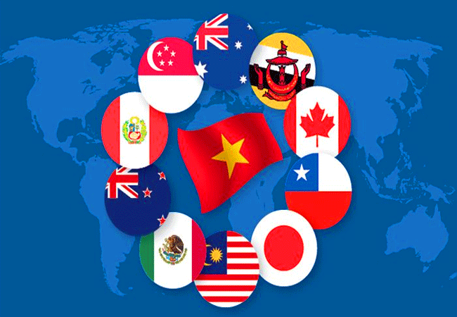 CPTPP chưa được sự quan tâm đúng mức của cộng đồng doanh nghiệp