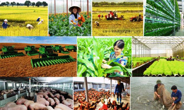 Thực hiện tư tưởng Hồ Chí Minh về an sinh xã hội trong thời kỳ đổi mới