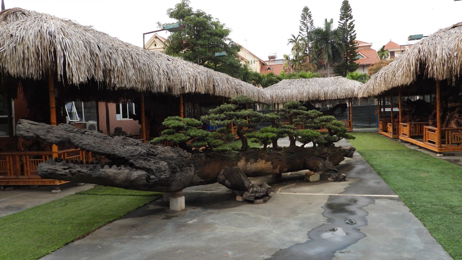 Description: C:\Users\ACER\Desktop\DSCN4316.JPG