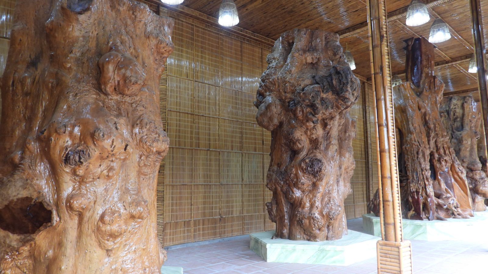 Description: C:\Users\ACER\Desktop\DSCN4354.JPG