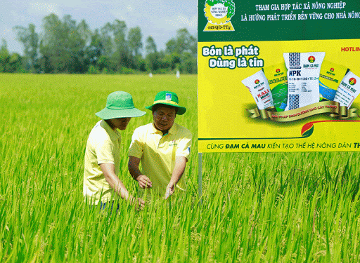 Sản phẩm phân bón Cà Mau được nhận Giải vàng chất lượng quốc gia năm 2020