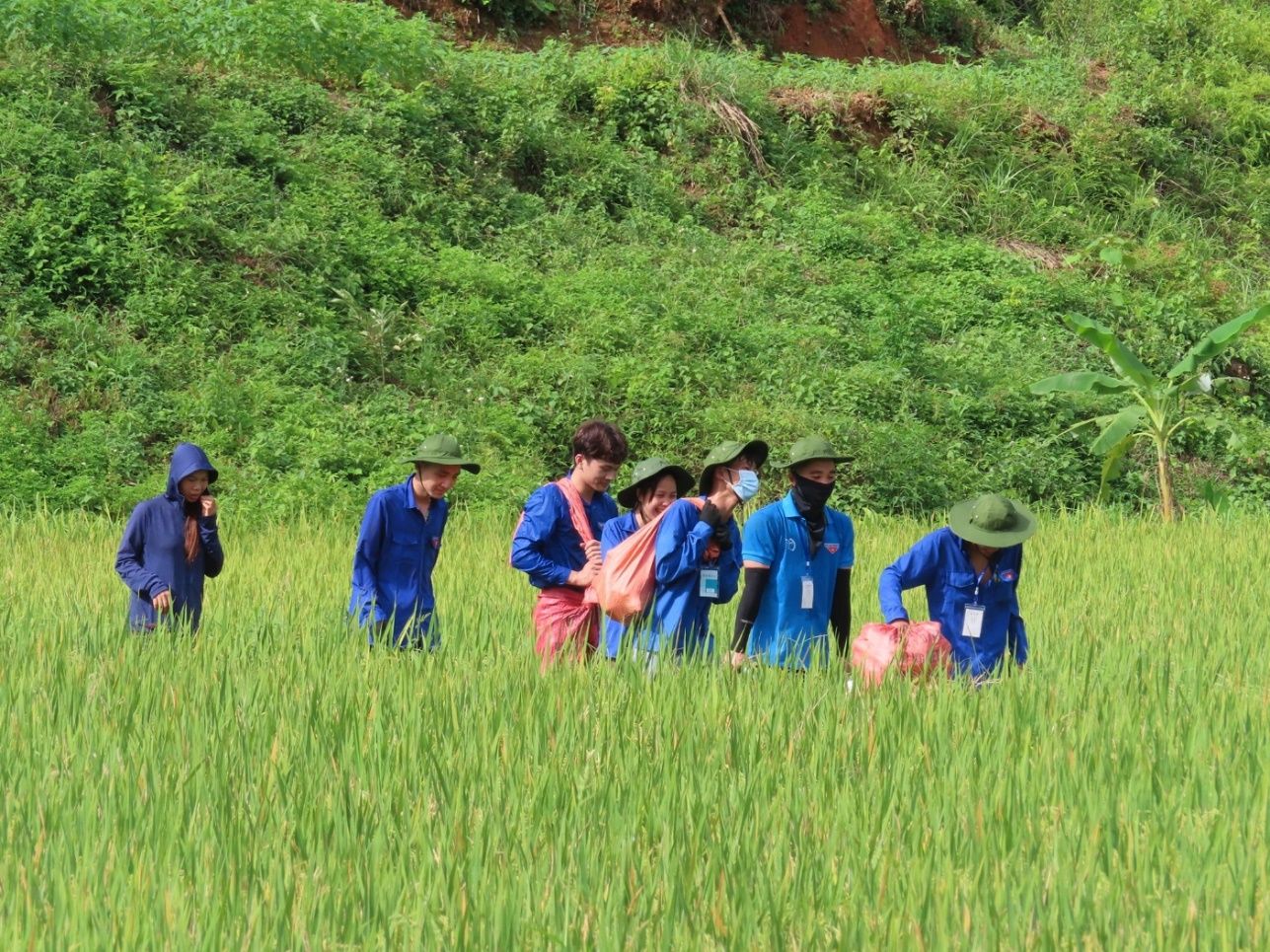 Tình nguyện 7