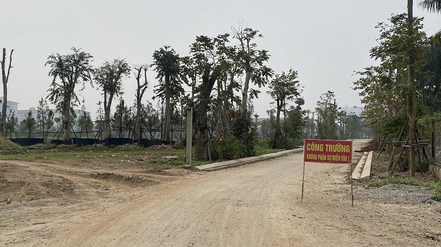 Dự án Xây dựng khu nhà ở dịch vụ xã Cổ Bi “ngủ quên” cả thập kỉ