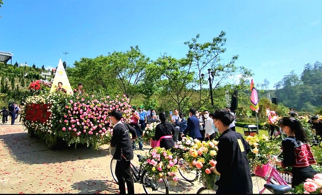 le-hoi-hoa-hong