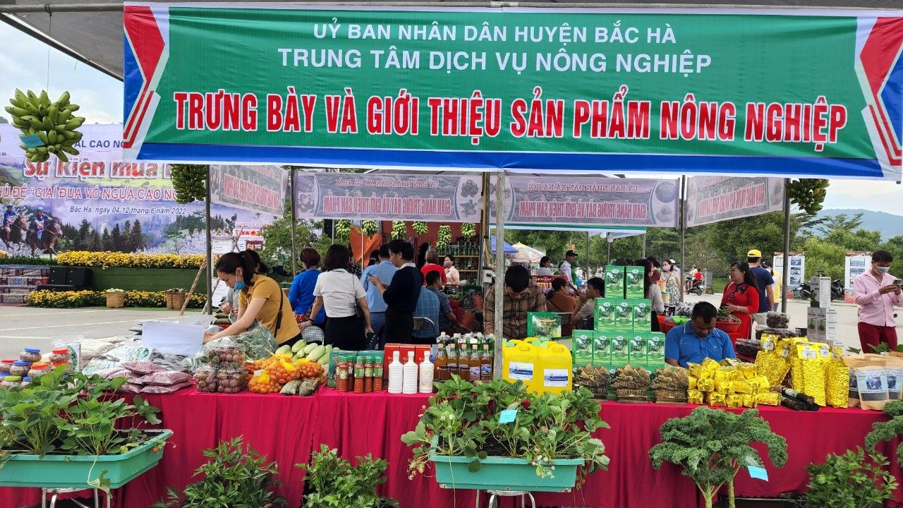bh-hoi-cho