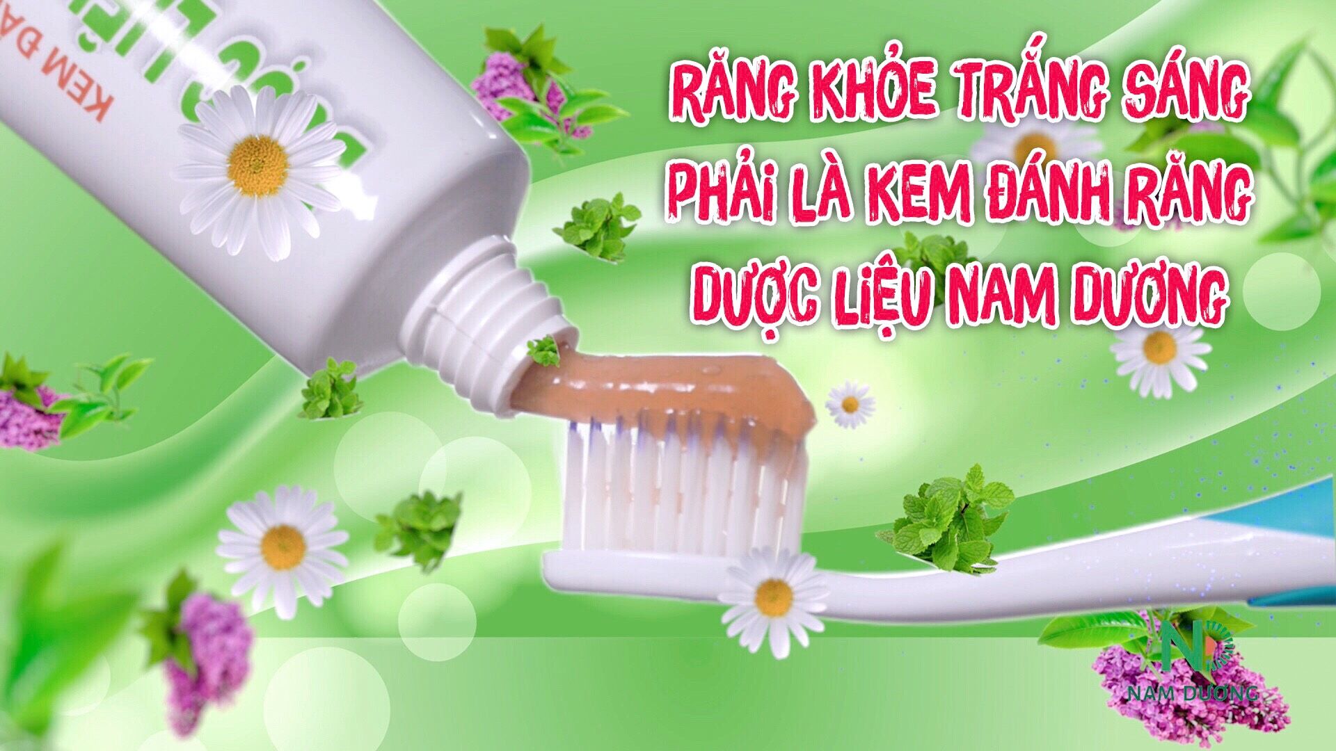 Kem đánh răng dược liệu Nam Dương – Thương hiệu từ thiên nhiên Việt