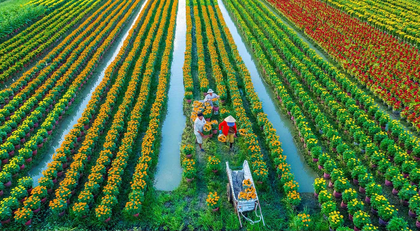 Nền kinh tế Việt Nam đang hướng tới thịnh vượng