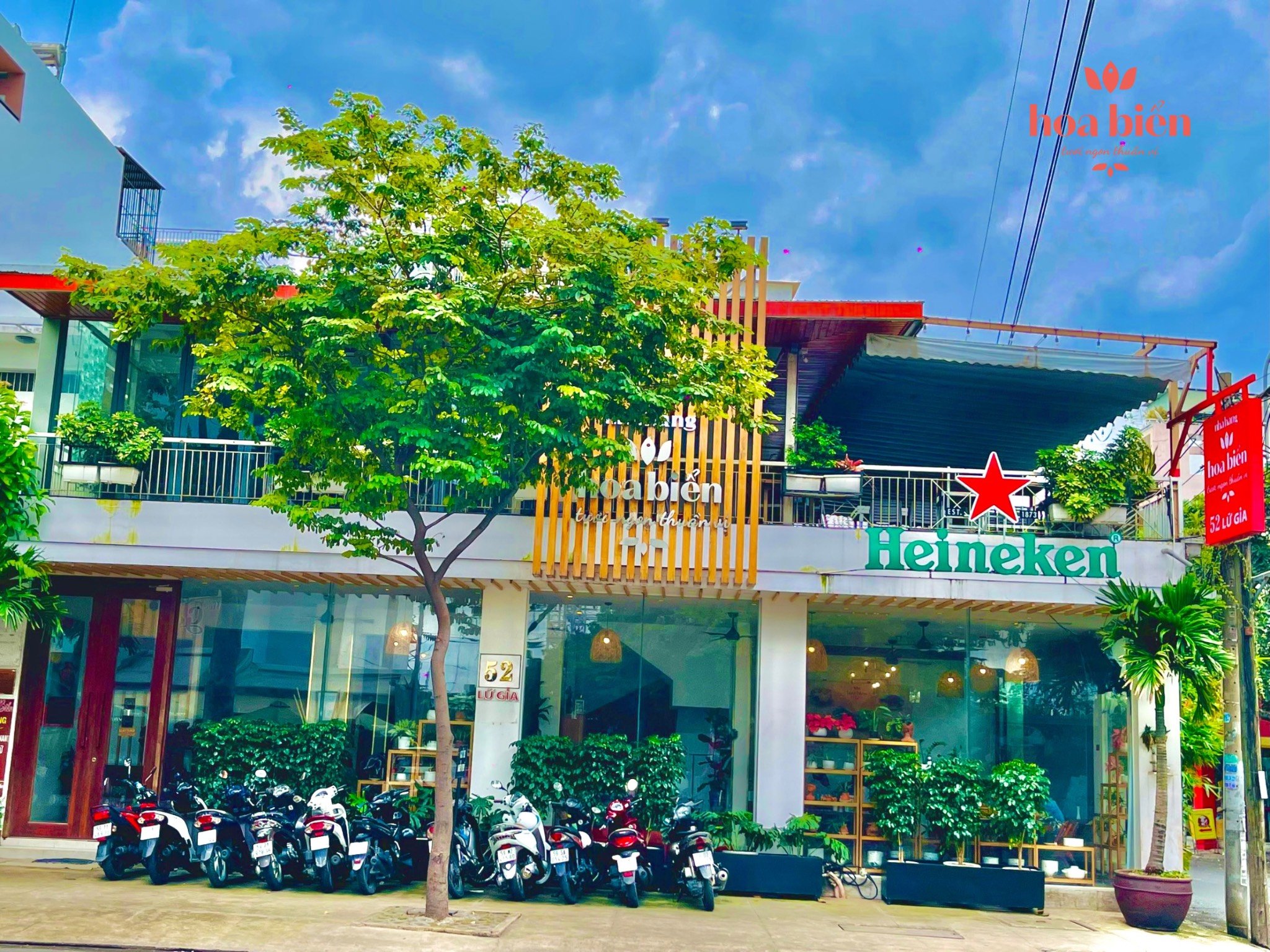 Hoa Biển – khu nhà trước mặt tiền đường 52 Lữ Gia, phường 15, quận 11, gần trường đua Phú Thọ