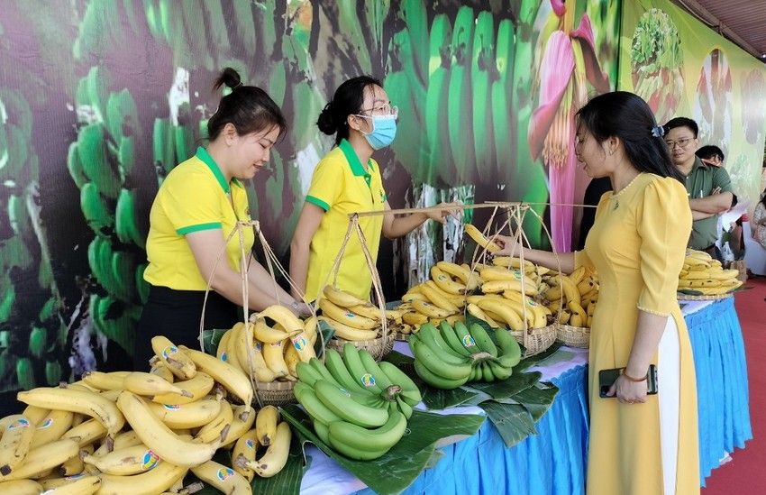 Đồng Nai đặt mục tiêu xuất khẩu 500.000 tấn chuối trong năm 2023