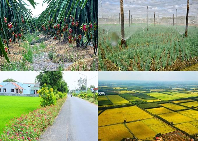 Long An: Quyết liệt thực hiện chuyển đổi số trong xây dựng nông thôn mới