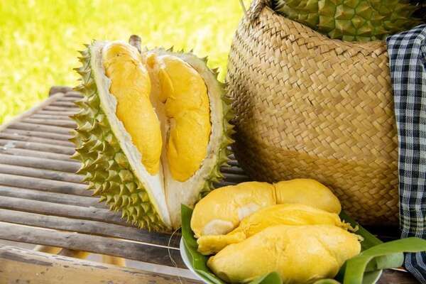 Kỳ vọng sự đột phá từ trái sầu riêng