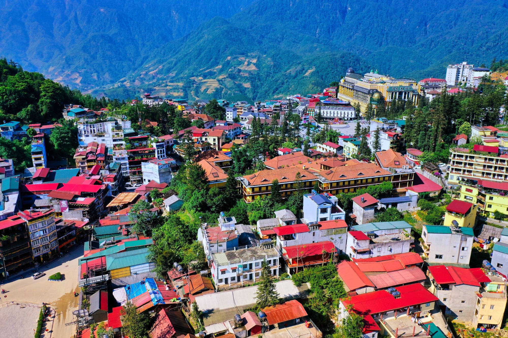 Ảnh trong bài