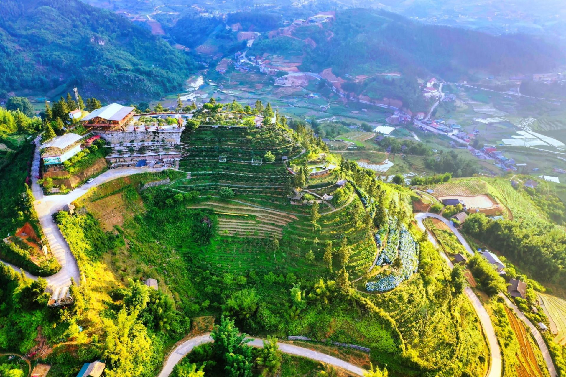 Ảnh trong bài