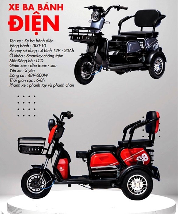 Một trong những sản phẩm xe điện của Công ty Lạc Long