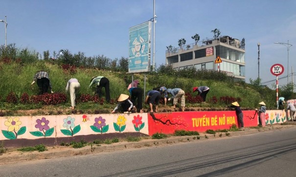 Người dân chung tay trồng cây trên tuyến đê.