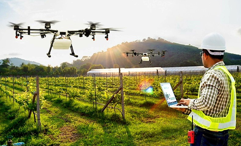 Chuyển đổi số để phát triển nông nghiệp công nghệ cao theo hướng đa chức năng, kinh tế tuần hoàn
