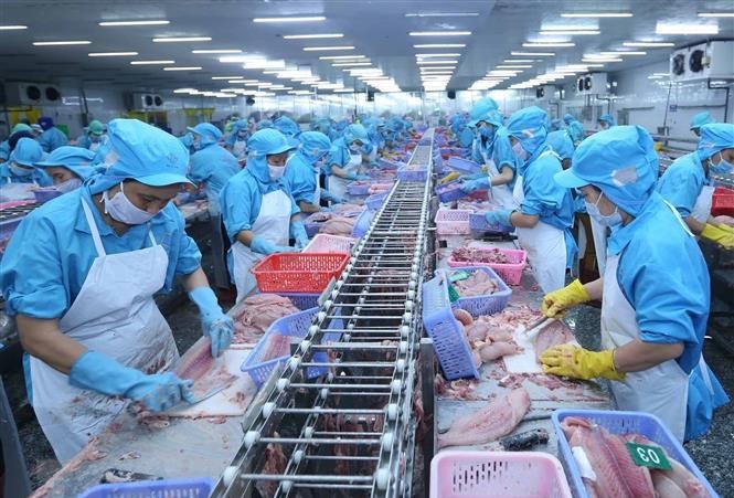 An Giang tập trung phát triển sản xuất tạo nguồn cung bền vững cho xuất khẩu