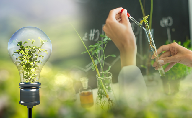 Ban hành Danh mục công nghệ, thiết bị, sản phẩm ngành công nghiệp môi trường