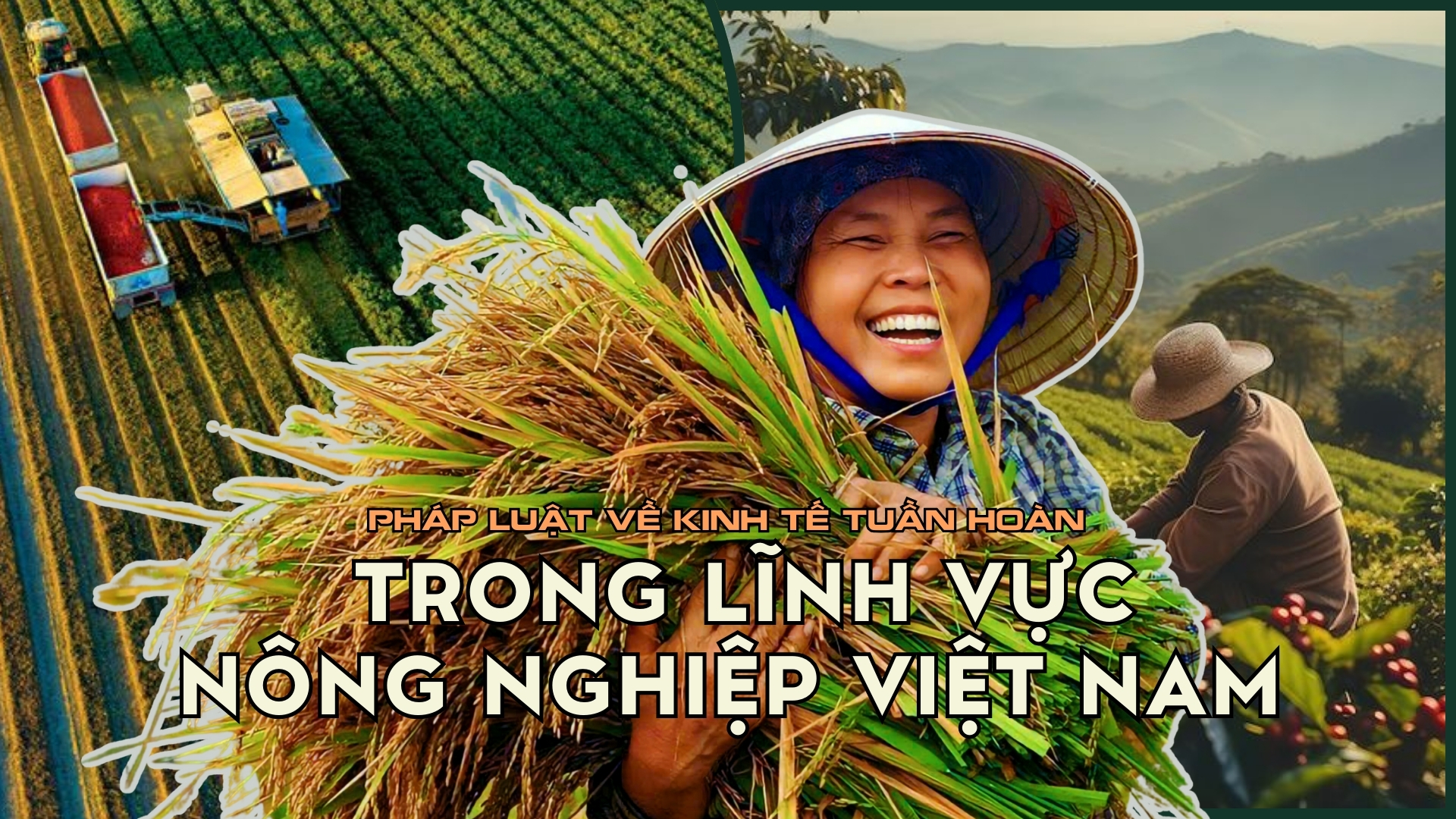Pháp luật về kinh tế tuần hoàn trong lĩnh vực nông nghiệp ở Việt Nam