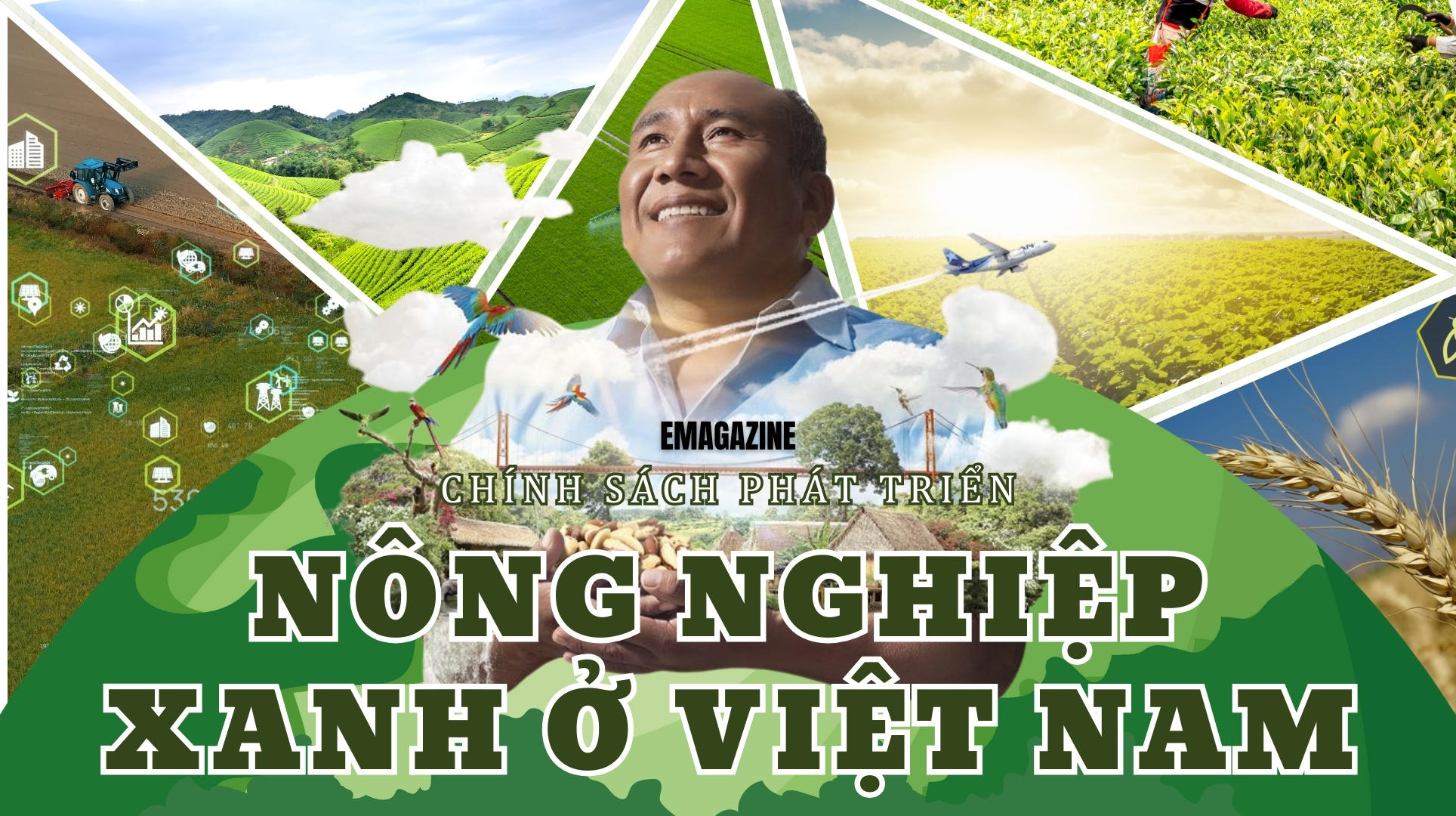 Chính sách phát triển nông nghiệp xanh ở Việt Nam