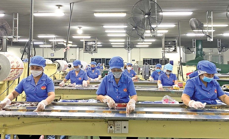 Khánh Hoà: Tiếp tục hỗ trợ pháp lý cho doanh nghiệp nhỏ và vừa năm 2024 - 2025