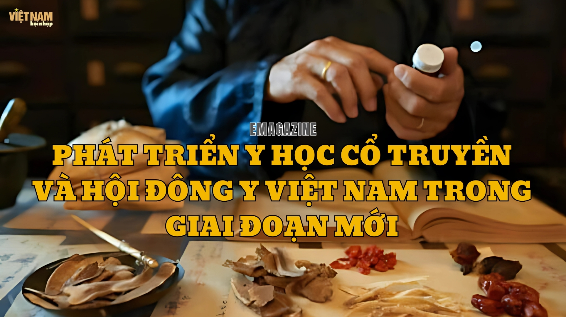 Phát triển y học cổ truyền và hội đông y Việt Nam trong giai đoạn mới