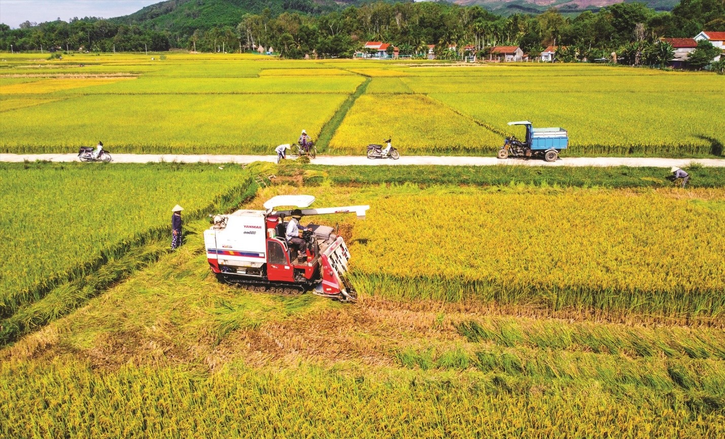 Nhằm nâng cao thu nhập trên đất trồng lúa, tạo ra sản phẩm an toàn, chất lượng, cải tạo đất, người dân tỉnh đã triển khai thực hiện mô hình sản xuất lúa theo hướng hữu cơ kết hợp nuôi cá.