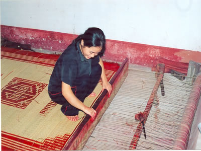 coi kim son