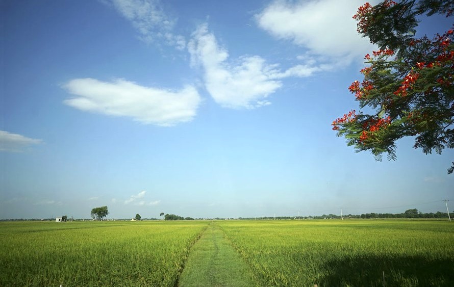 Triển khai kiểm kê đất đai trên phạm vi cả nước từ ngày 01/8/2024