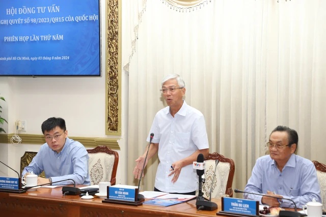 Phó Chủ tịch UBND TP HCM Võ Văn Hoan phát biểu – (Ảnh: Internet