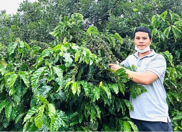 Asanzo Coffee – Tinh hoa cà phê hảo hạng dành cho người Việt