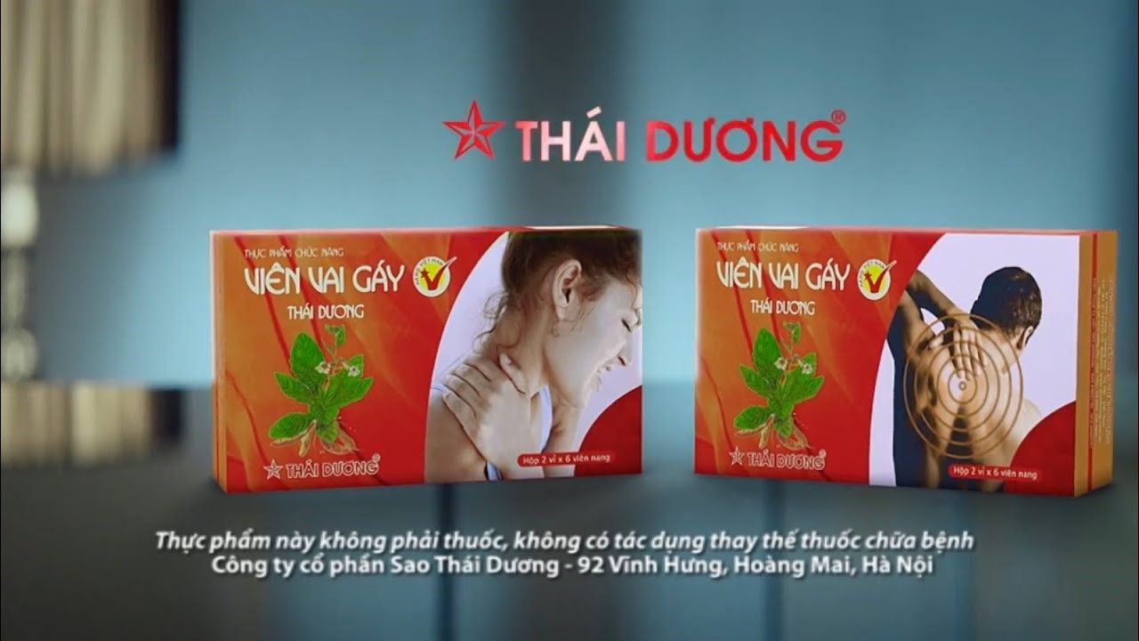 Công ty CP Sao Thái Dương: Hành trình 20 năm phát triển và khẳng định vị thế