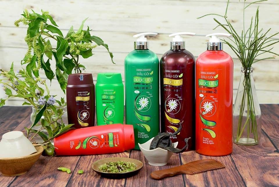 Công ty CP Sao Thái Dương: Hành trình 20 năm phát triển và khẳng định vị thế