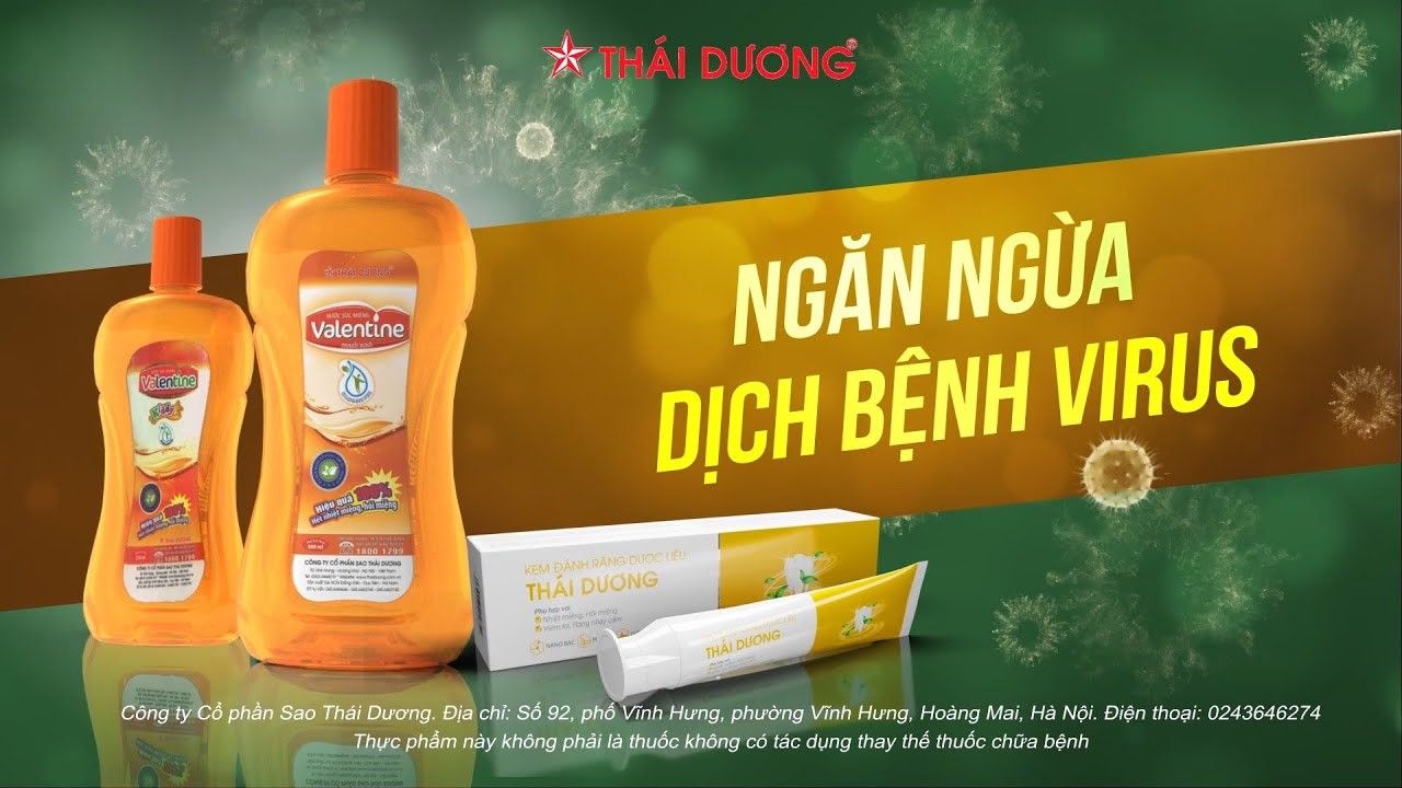 Công ty CP Sao Thái Dương: Hành trình 20 năm phát triển và khẳng định vị thế