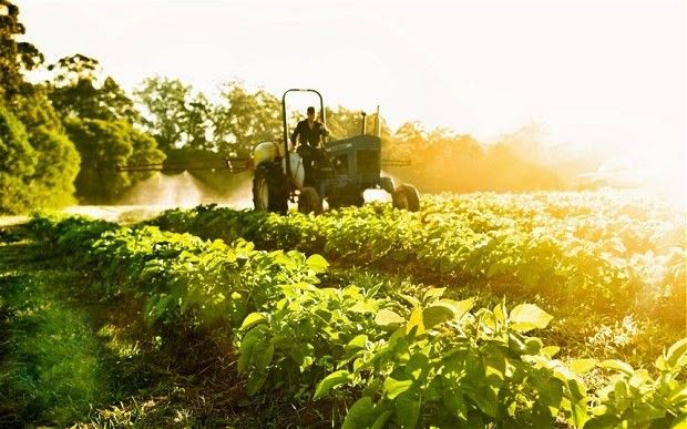 Công ty CP Sao Thái Dương: Hành trình 20 năm phát triển và khẳng định vị thế