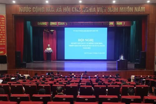 Quế Võ (Bắc Ninh): Sơ kết sản xuất vụ đông năm 2022