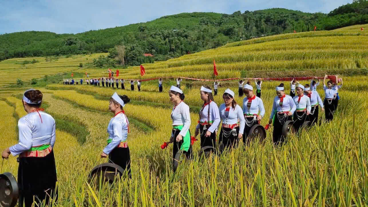 Lê hội người Thái đánh Cồng chiêng trên cánh đồng bậc thang rất đẹp.