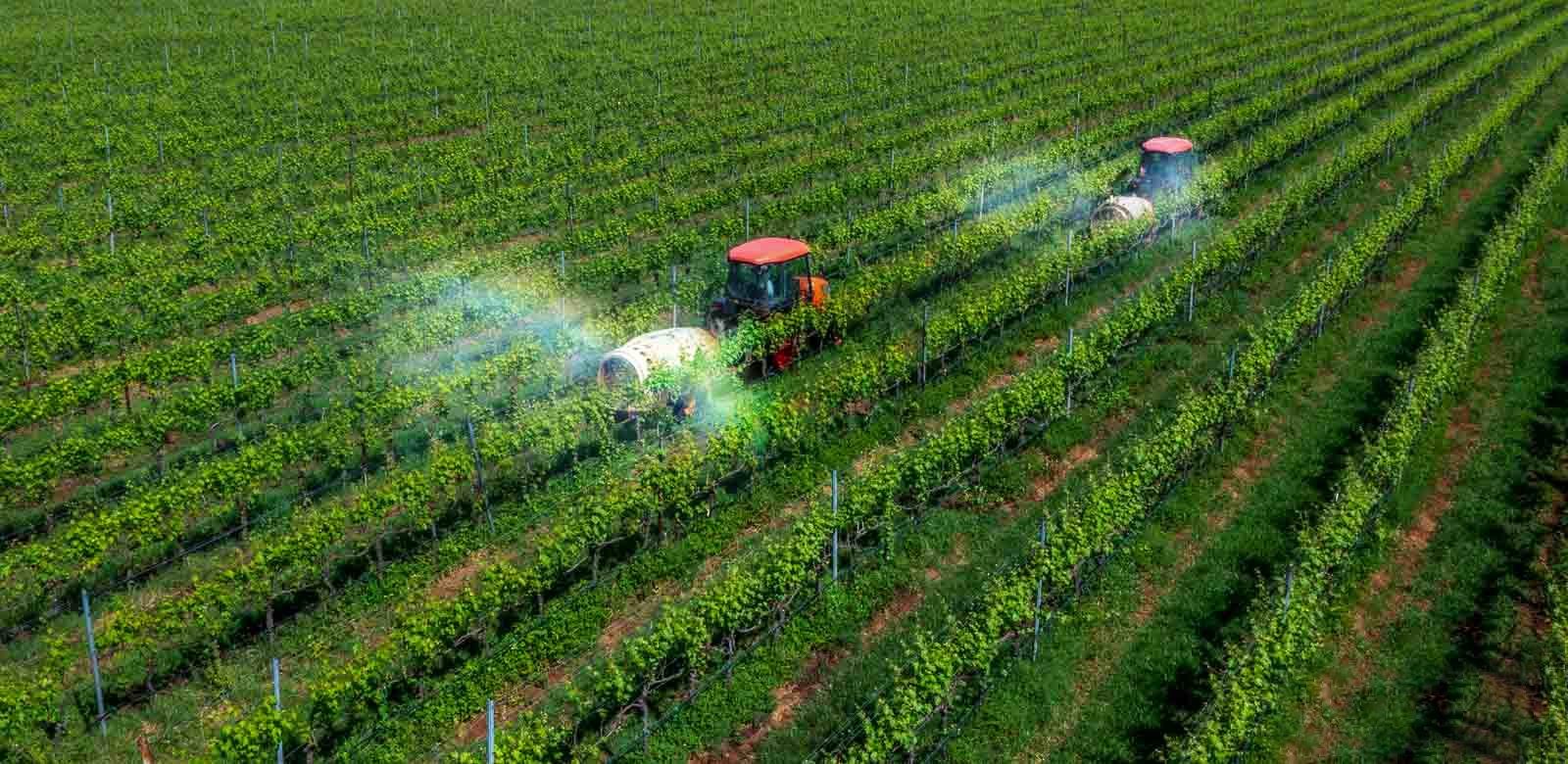 Giảm phát thải trong ngành trồng trọt – Giải pháp trọng tâm phát triển nông nghiệp bền vững ở Việt Nam trong bối cảnh biến đổi khí hậu