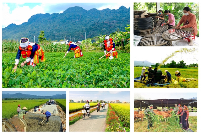 Tập trung xây dựng nông thôn mới nâng cao: Bảo đảm phát triển hài hòa giữa kinh tế, văn hóa và môi trường nông thôn