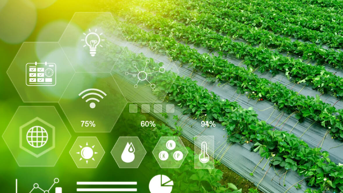 Circular economy - a strategic path for sustainable agriculture in Vietnam