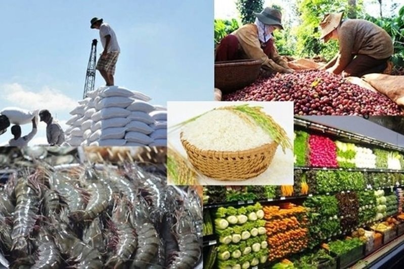 Đồng Nai nâng tầm nông sản, tạo nền tảng bền vững cho xuất khẩu