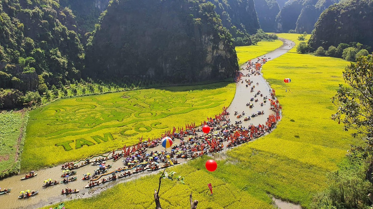 Ninh Bình: chương trình “Sắc vàng Tam Cốc - Tràng An” sẽ diễn ra trong 7 ngày