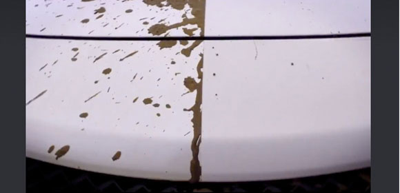 Hình ảnh trước và sau khi áp dụng sản phẩm