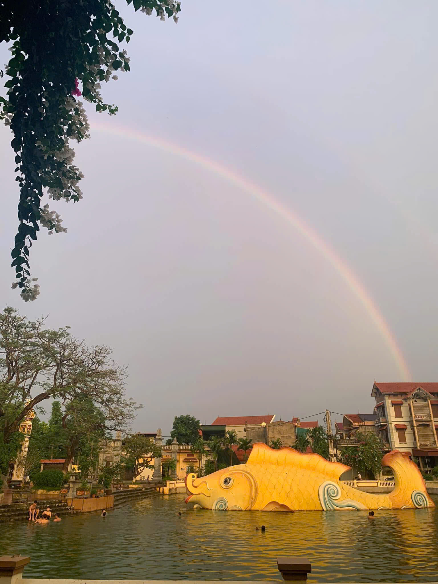 Linh vật cá chép là biểu tượng của đình làng thôn Văn Minh và đã được ghi nhận kỷ lục Wuylet .